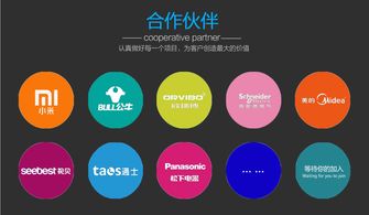 迅速開發(fā)與運(yùn)營 智能電器產(chǎn)品的電子商務(wù)平臺(tái)模式探析